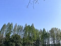 -范蠡湖公园
