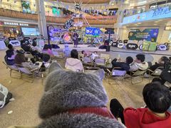 -上海长风大悦城