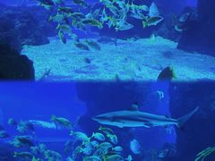 -成都浩海立方海洋公园