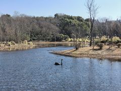 -长广溪湿地公园