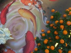 -津菜宋记老房子(鼓楼店)