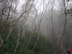 -白草畔自然风景区