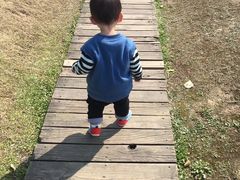 -白塘生态植物园