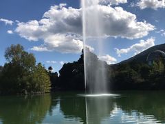 -蝴蝶泉公园