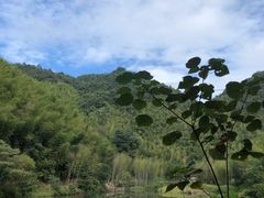 -千泷沟大瀑布旅游区