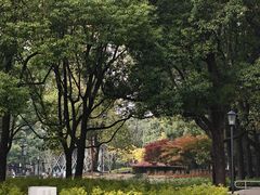 -中山公园