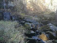 -茅兰沟国家森林公园
