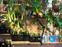 -Rabbit Cafe私房西餐甜点咖啡(栖霞路店)