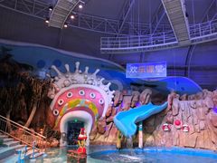 -烟台海昌鲸鲨海洋公园