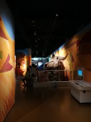 -北京科学中心儿童乐园