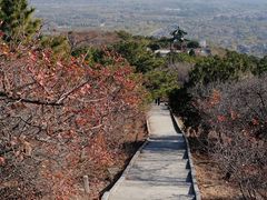 -北京西山国家森林公园