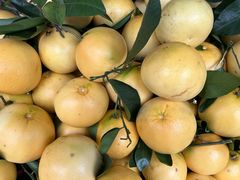 -南坛综合农贸市场