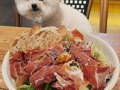 -JamaicaBlue Cafe(乌鲁木齐中路店)