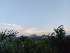 -番禺大夫山森林公园