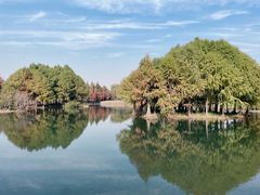 -贡湖湾湿地公园