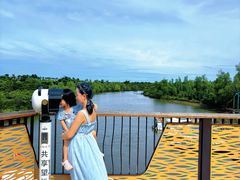 -东寨港红树林旅游区