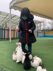 -萌宠亲子动物乐园(槐房万达店)