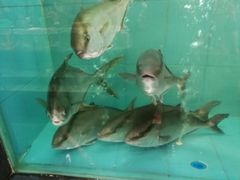 -万山楼海鲜酒家·二十三年老字号