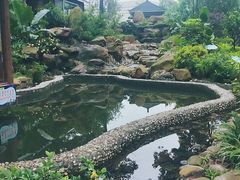 -梧桐庄园