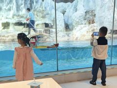 -帝企鹅自助餐厅•儿童岛•真企鹅(长隆企鹅酒店)