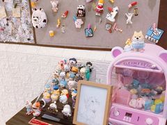 -猫遇摄影工作室
