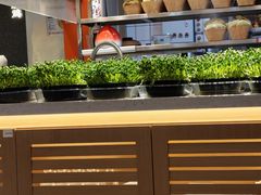 -好彩猪肚鸡(正弘城店)