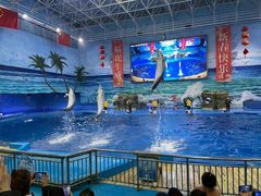 -多彩贵州城极地海洋世界