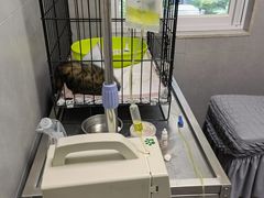 -伟伟宠物医院·CT影像中心·瑞派犬猫综合性门诊(汉口总院)