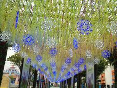 景点-厦门方特梦幻王国