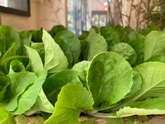 -福照楼汽锅鸡·云南菜(护国路店)