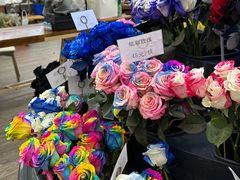-荷兰花海