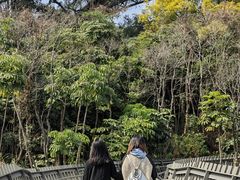 -福道
