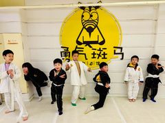 -勇气斑马·巴西柔术&跆拳道(浦东三林店)