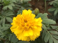 -元洲装饰(杭州东路店)