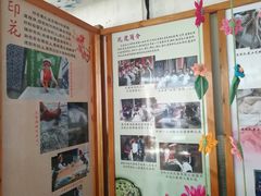 -璞真扎染博物馆