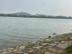 -羊山湖公园