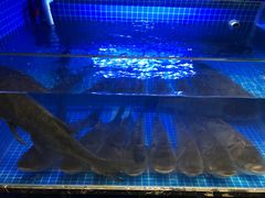 -姜君·千岛湖鱼头馆(浦东大道店)