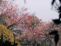 -雅达·阳羡溪山小镇中心