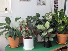 -LaFBagel手作烘焙工作室