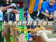 -上海大自然野生昆虫馆(东方明珠·爬宠昆虫探索中心)
