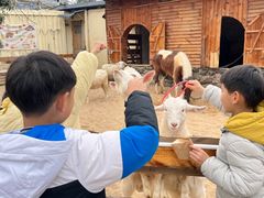 -HERRE·FARM 赫尔露营农场·团建聚会包场