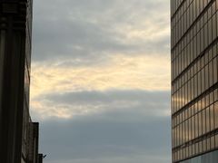 -香港皇家太平洋酒店