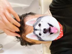 -Bollins波林丝•专研护发中心