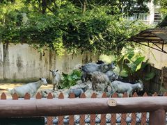 -深圳野生动物园