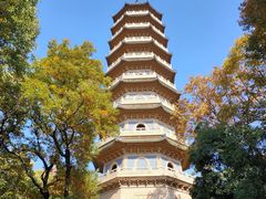 -灵谷景区