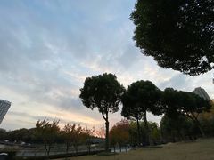-南翔镇银翔湖公园