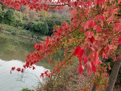 -南京市无想山景区