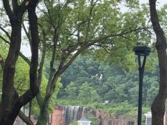 -宜兴龙背山森林公园