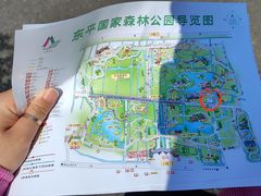 -东平国家森林公园
