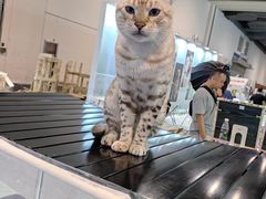 -上海跨国采购会展中心